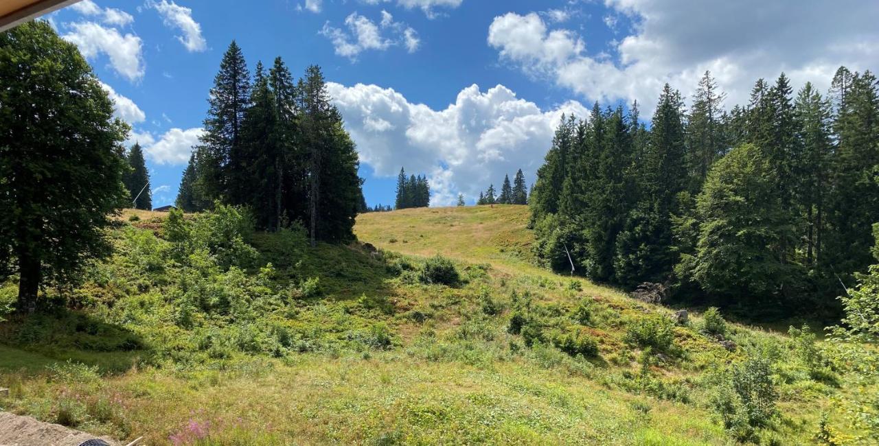 Ferienwohnung Feldberg Schwarzwald Eksteriør billede