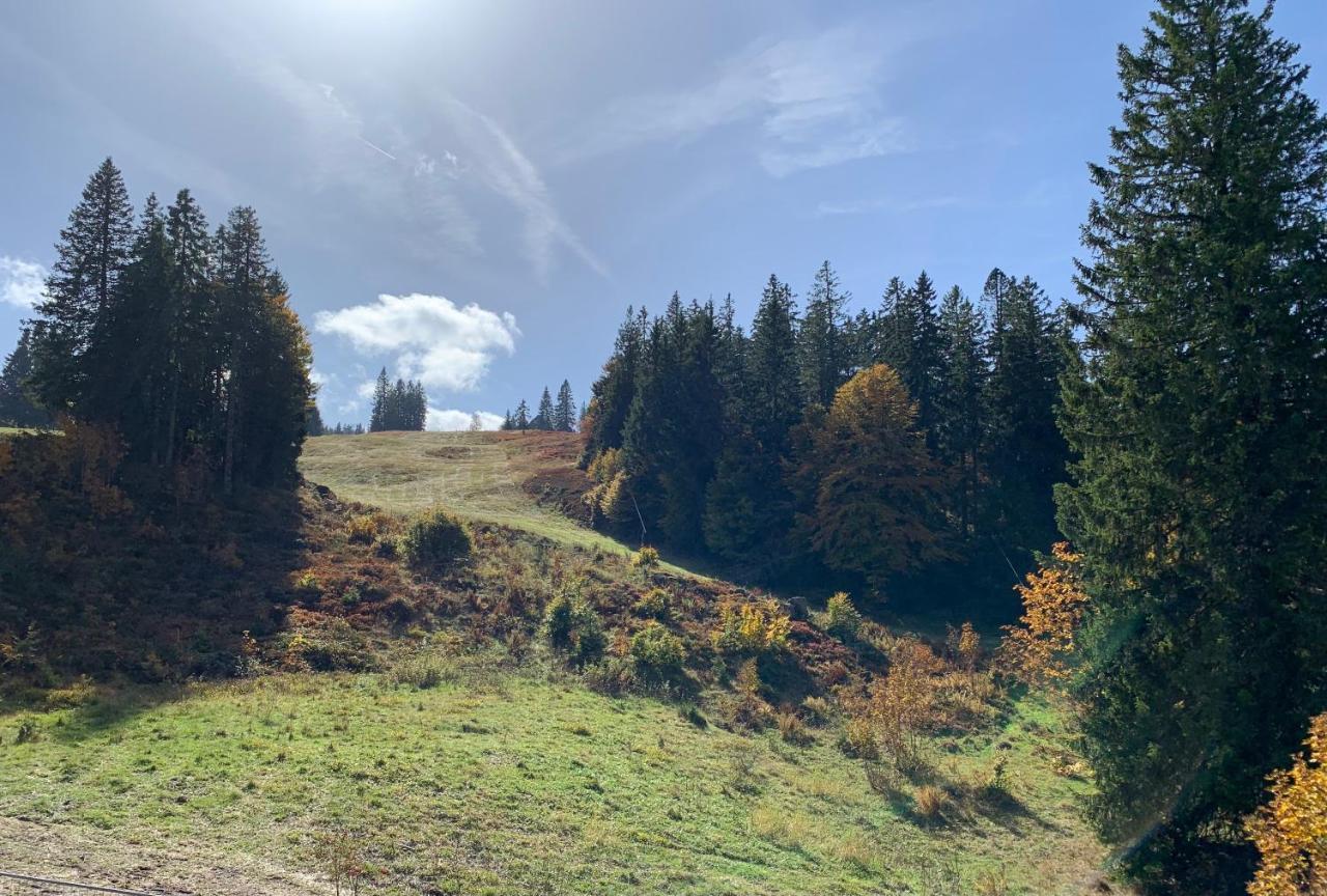Ferienwohnung Feldberg Schwarzwald Eksteriør billede