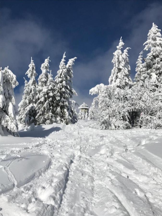 Ferienwohnung Feldberg Schwarzwald Eksteriør billede