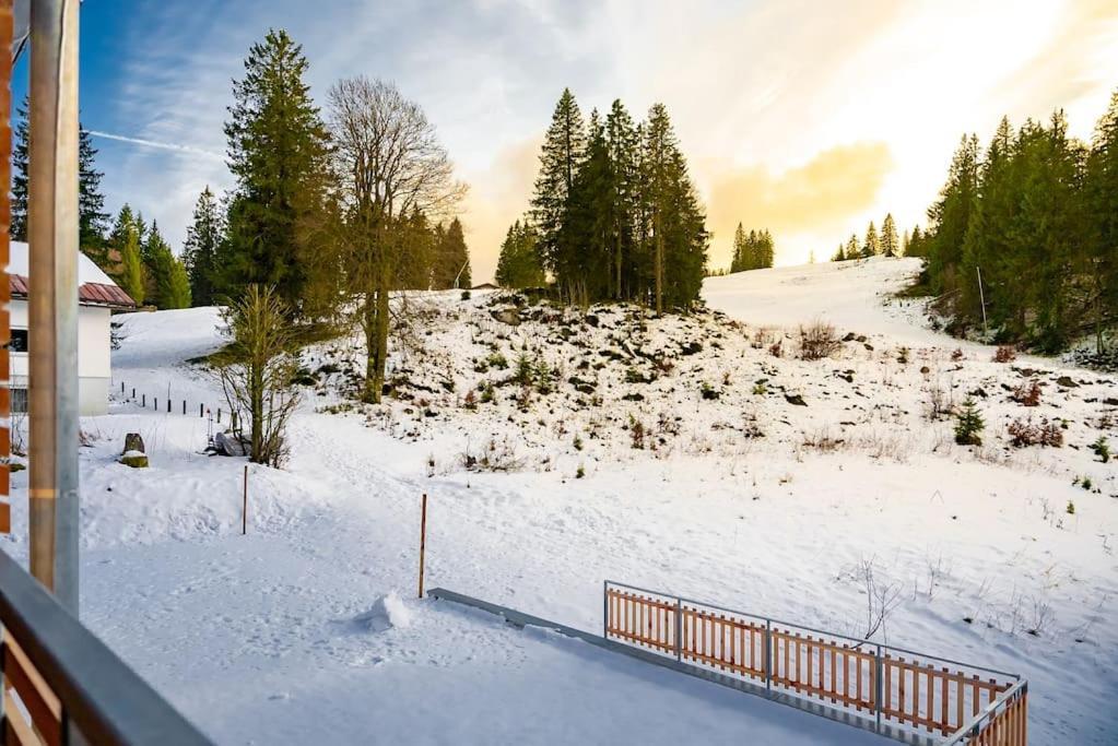 Ferienwohnung Feldberg Schwarzwald Eksteriør billede